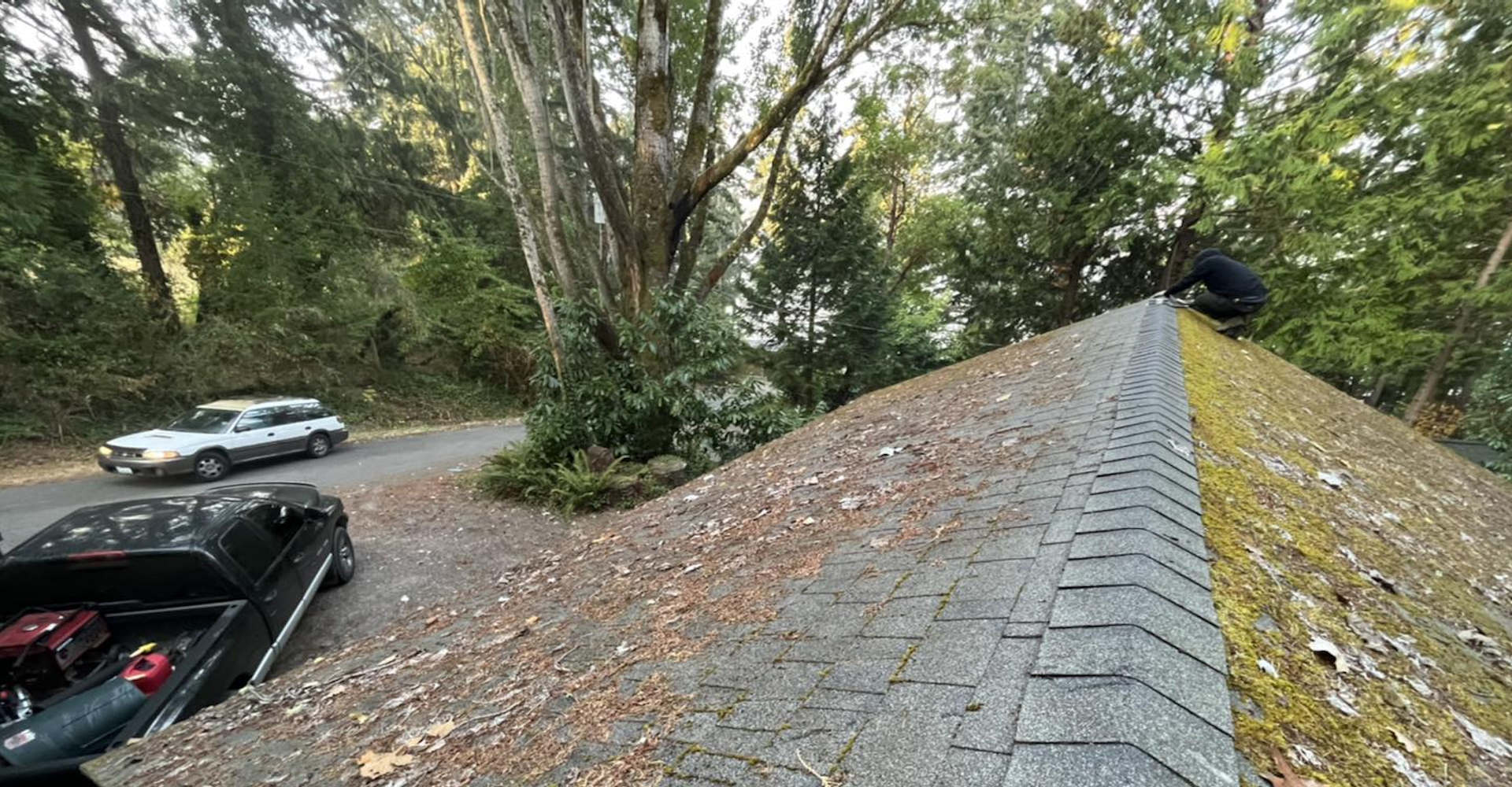 Roof cleaning - Vashon Island Home Services