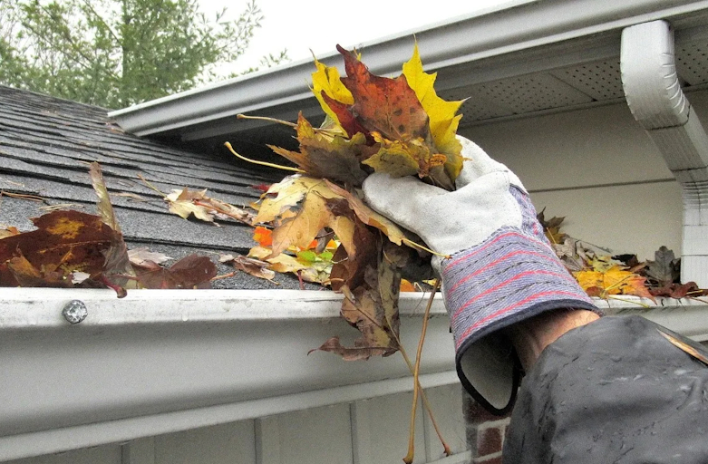 Vashon Island Gutter Cleaning - Vashon Island Home Services