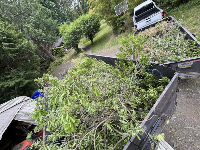Vashon Island Home Services - Landscaping, bush, brush and shrub removal