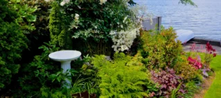 West Seattle Landscaping - Vashon Home Services