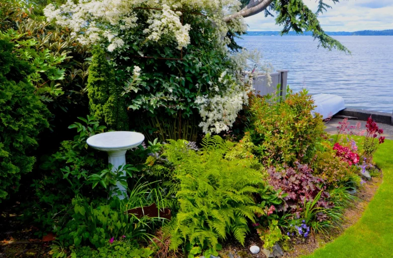 West Seattle Landscaping - Vashon Home Services